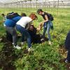 Natura e benessere per gli studenti del Fermi