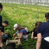 Natura e benessere per gli studenti del Fermi